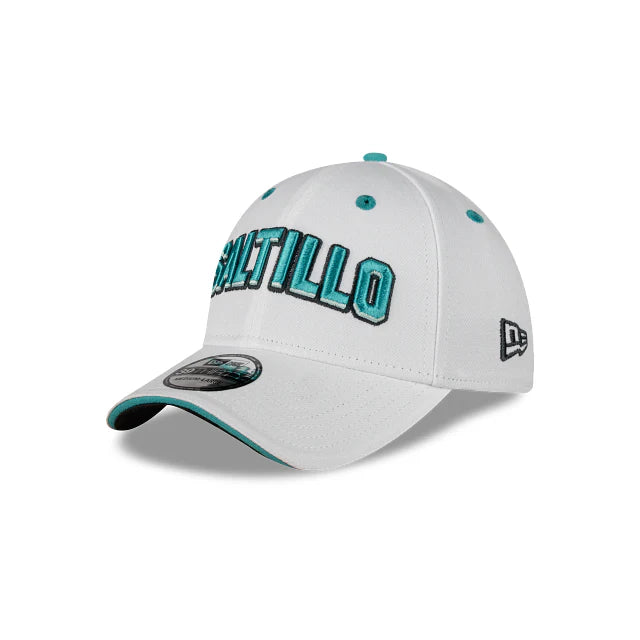 GORRA ALTERNATIVA 2024  2