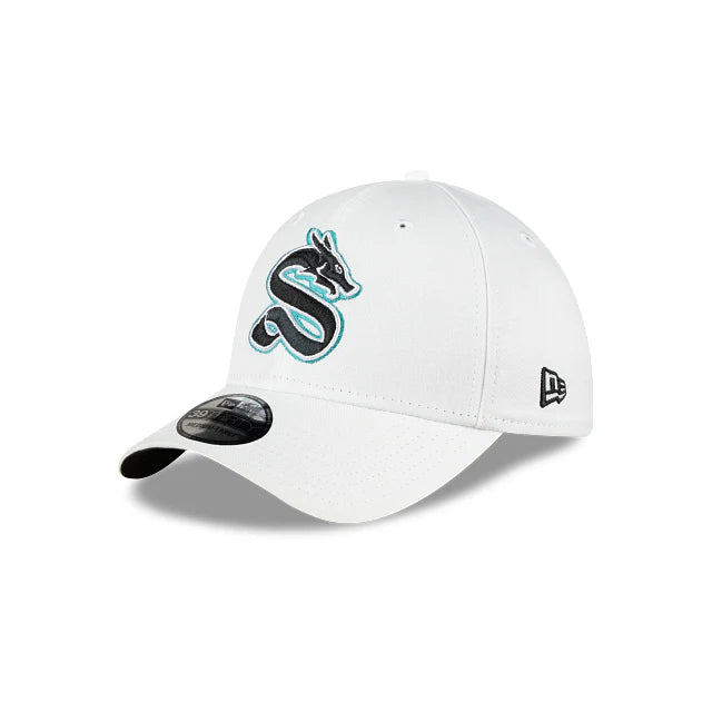 GORRA ALTERNATIVA 2024  1