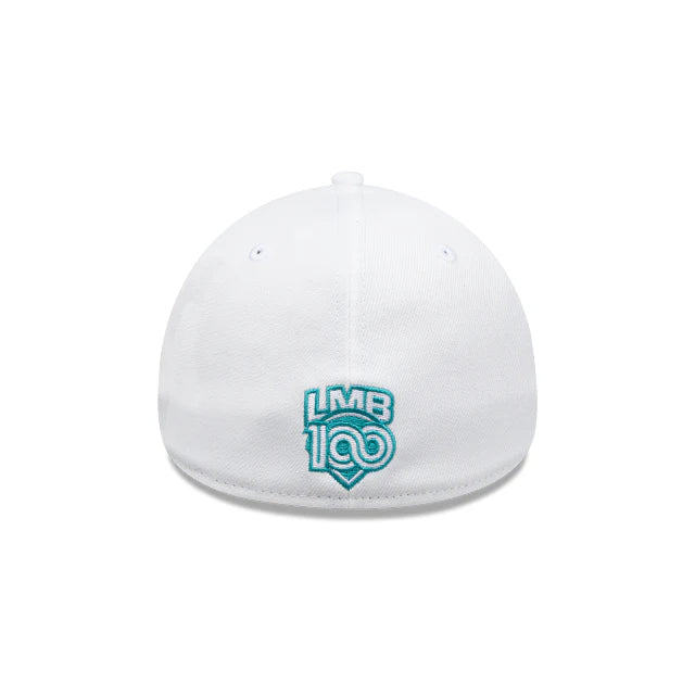 60675693 3930 GORRA ALTERNA SNOW 2025