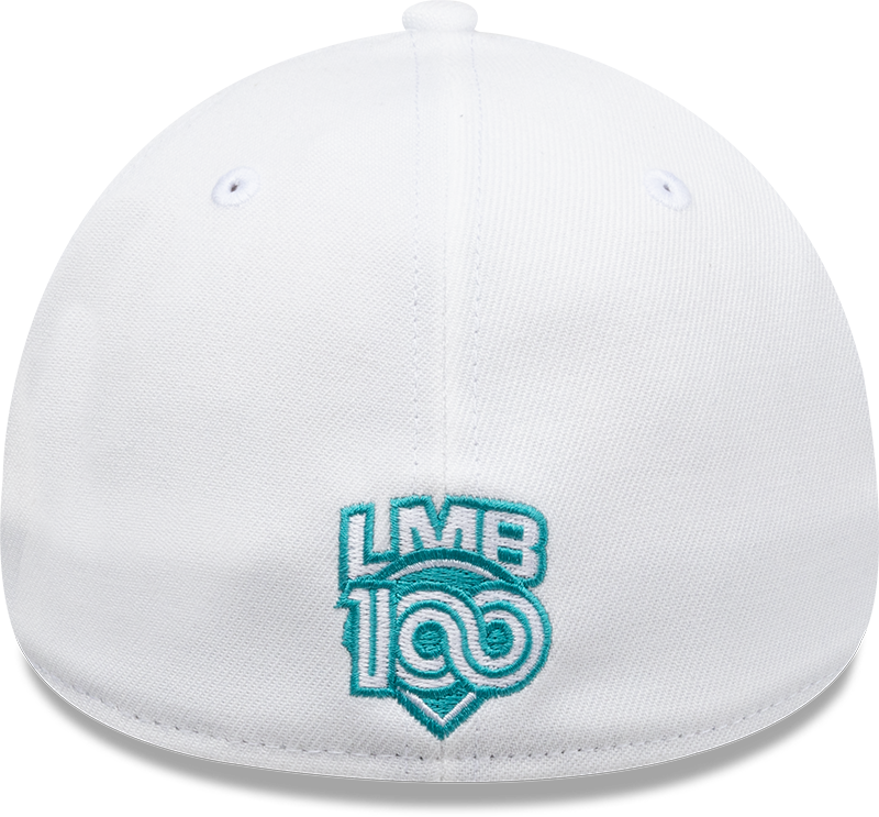 60675693 3930 GORRA ALTERNA SNOW 2025