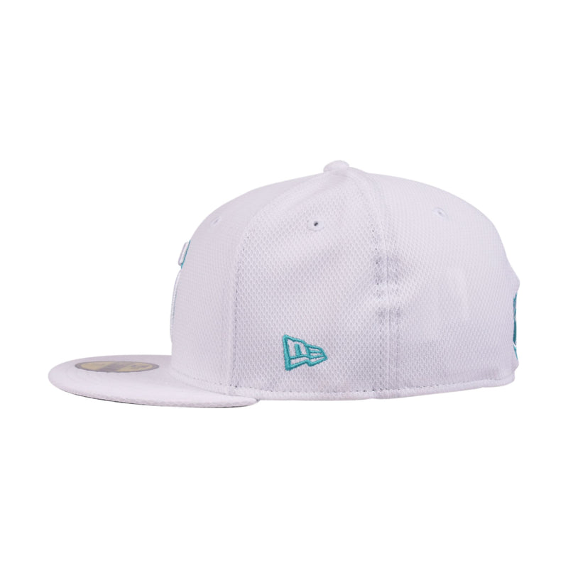 ELEMENT LOGO CAP 2023