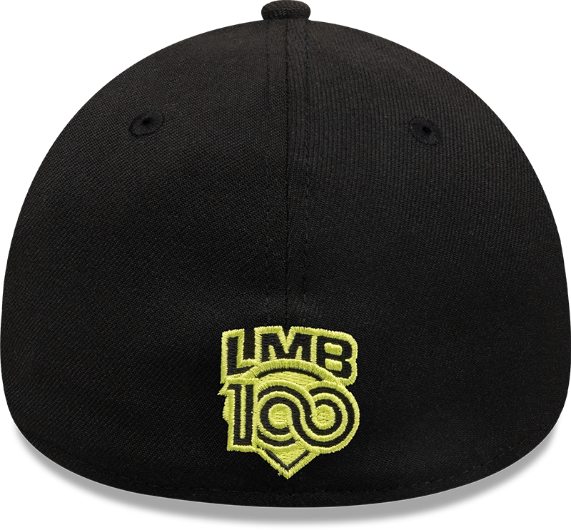 60675695 3930 GORRA ALTERNA CYBER 2025